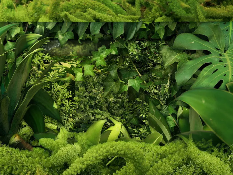 Führung Aargauer Kuratorium