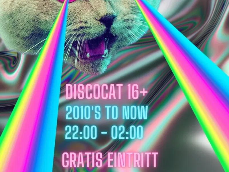 Disco Cat