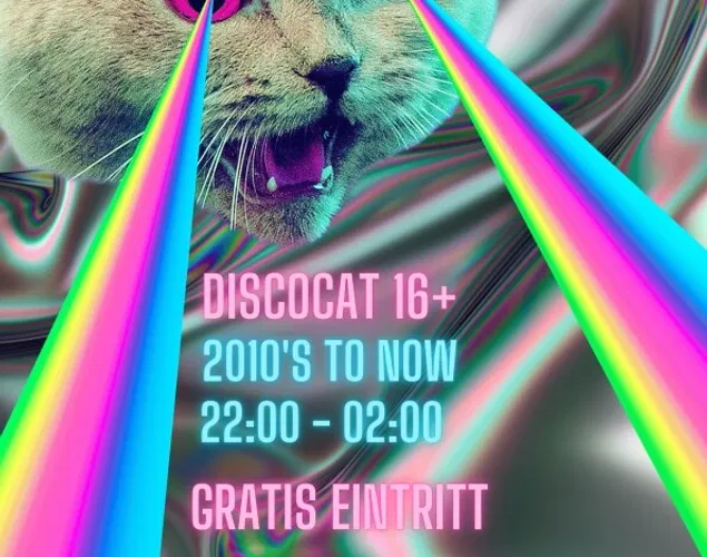Disco Cat