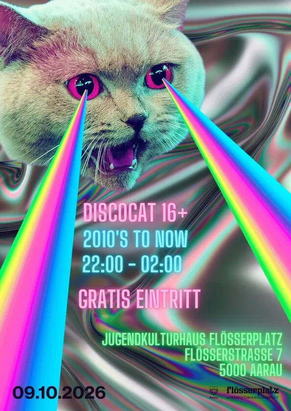 Disco Cat