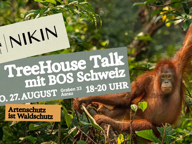 Artenschutz ist Waldschutz: TreeHouse Talk mit BOS
