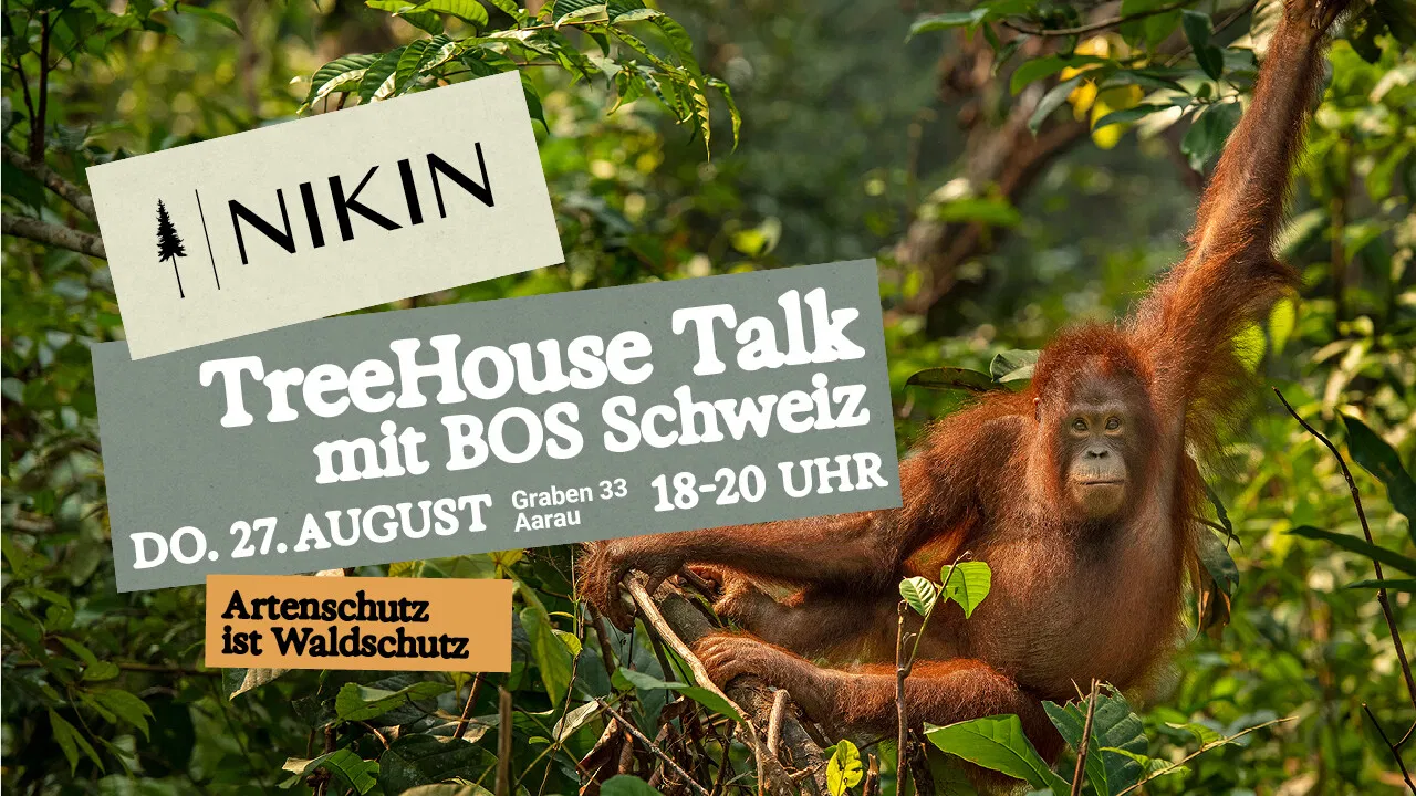 Artenschutz ist Waldschutz: TreeHouse Talk mit BOS