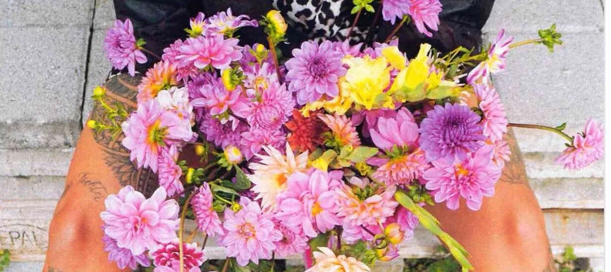 Urban Blooming by lala's wildgarden