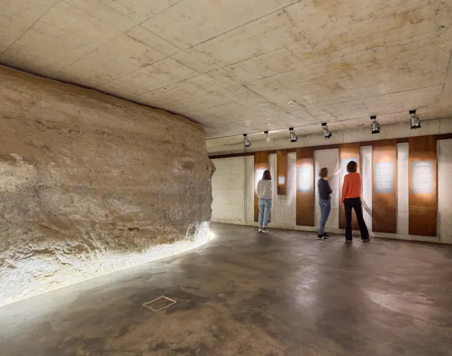 «Aufschluss Meyerstollen» mit Führung