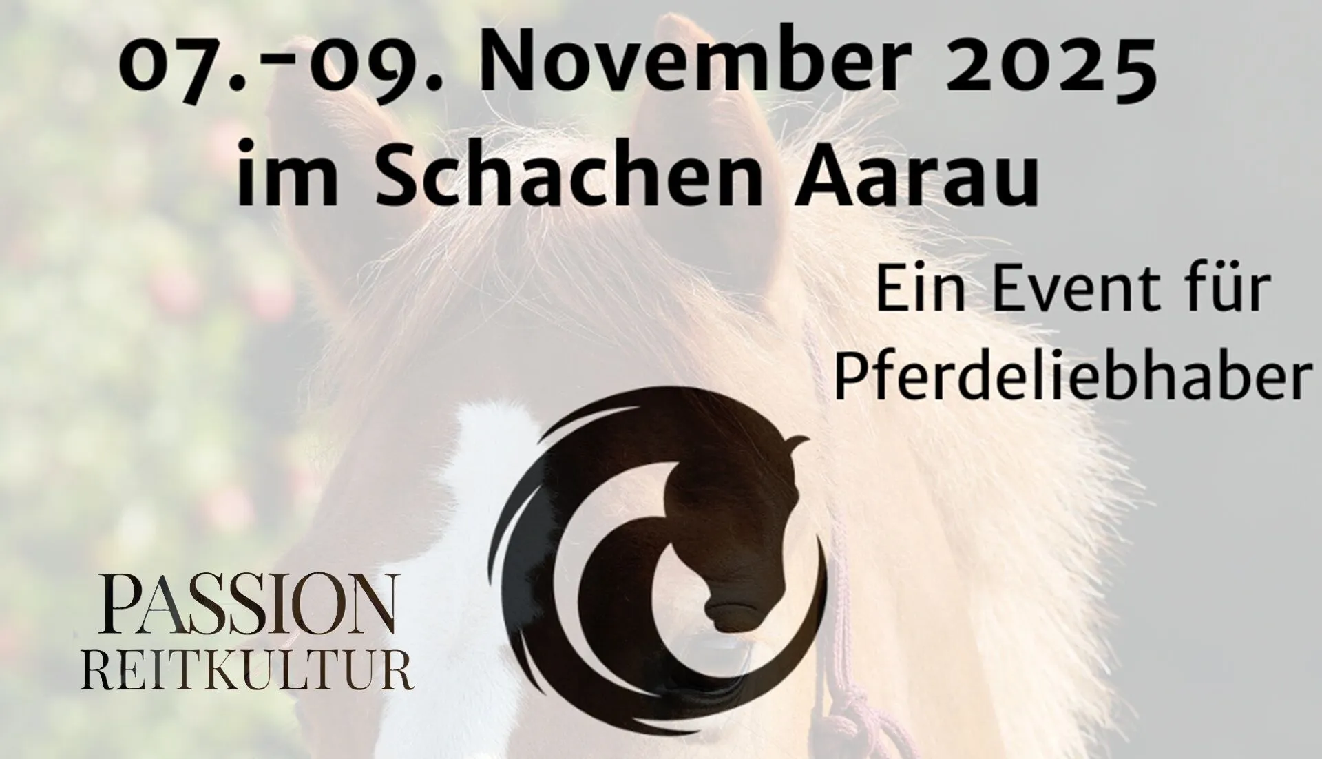 Passion Reitkultur  Passion Reitkultur