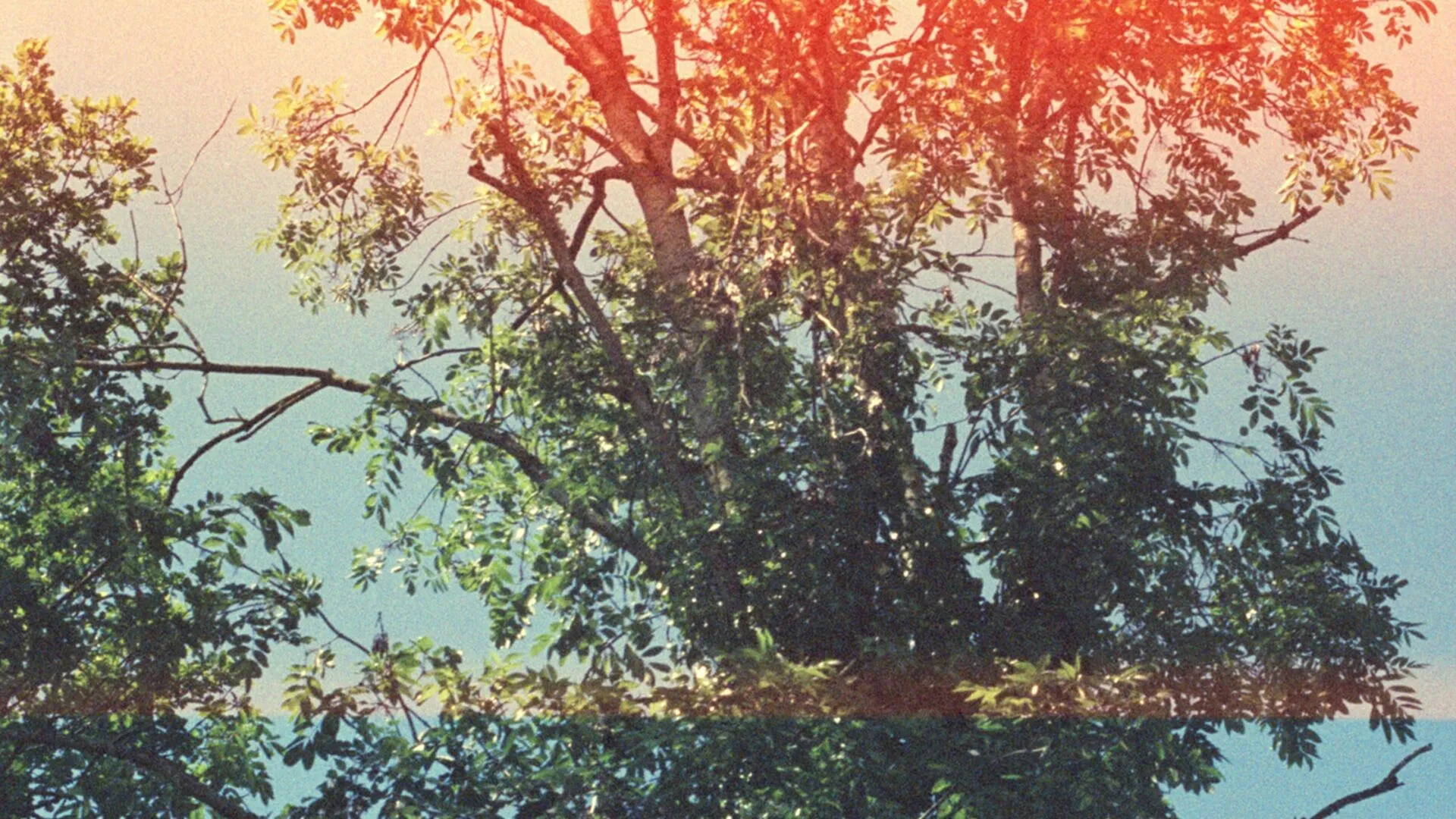 Aussen ist innen – Klaus Merz 