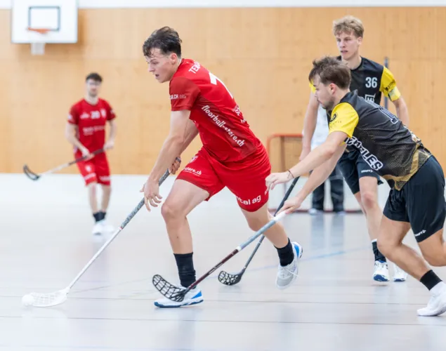 Herren 1. Liga: Team Aarau vs Einhorn Hünenberg