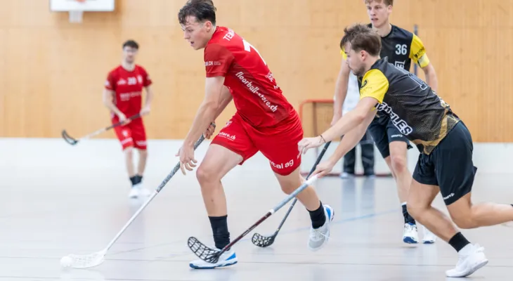 Herren 1. Liga: Team Aarau vs Einhorn Hünenberg