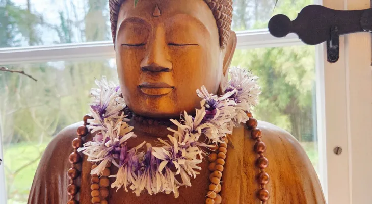 The medicine of love Mantra-Meditation