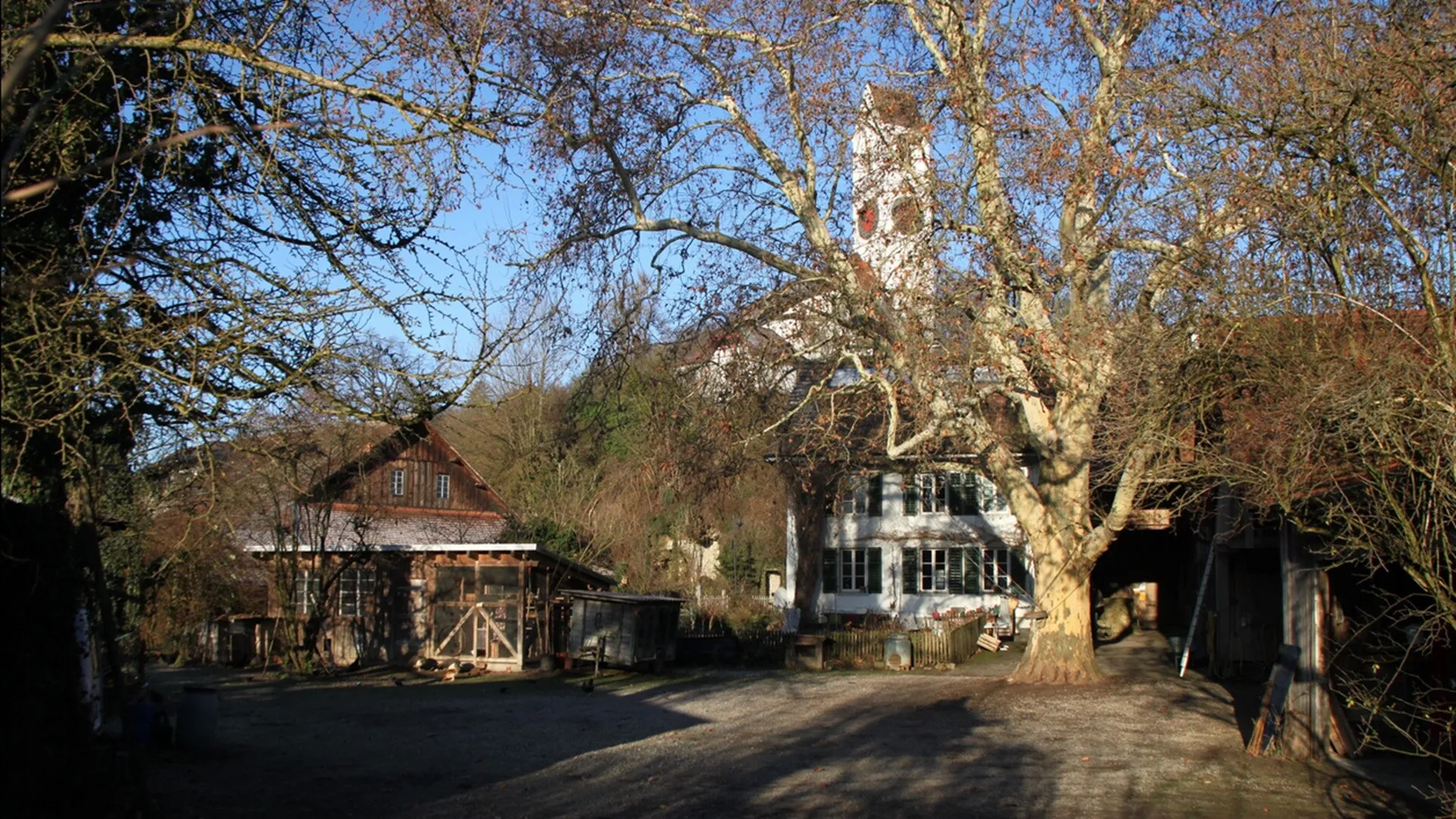 Die Galegge
