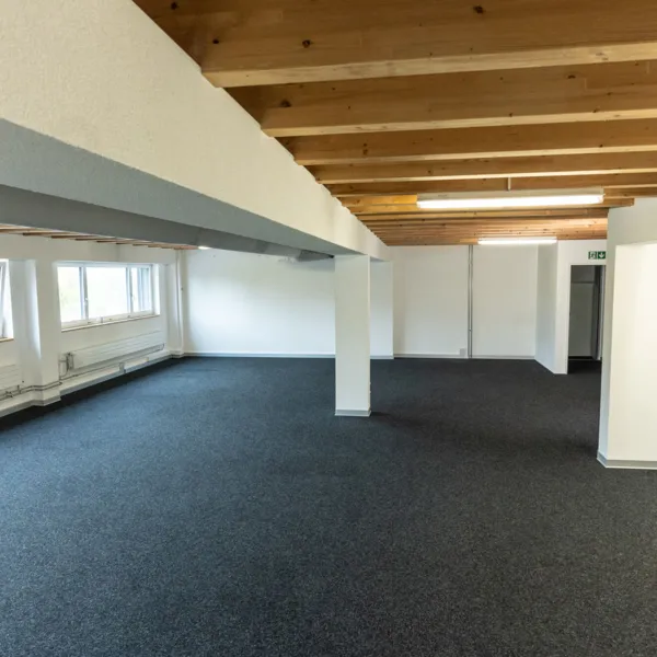 Attraktive Räume für Büro, Atelier, Studio oder Schulungen (Teilvermietung möglich)