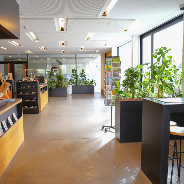 Naturama Foyer