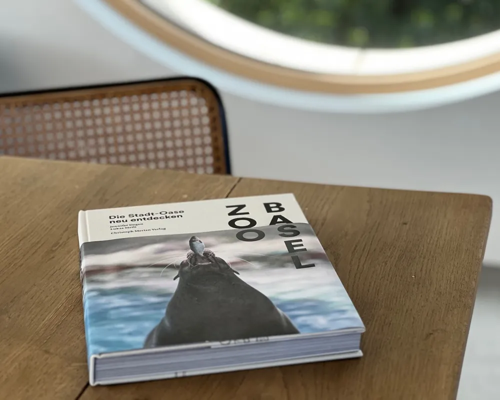 Kein Elefant mehr am Barfi