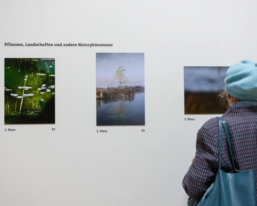 Fotowettbewerb Schnappschuss 2025