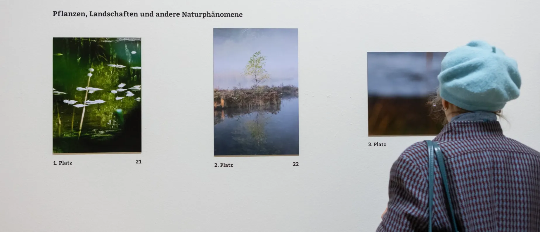 Fotowettbewerb Schnappschuss 2025