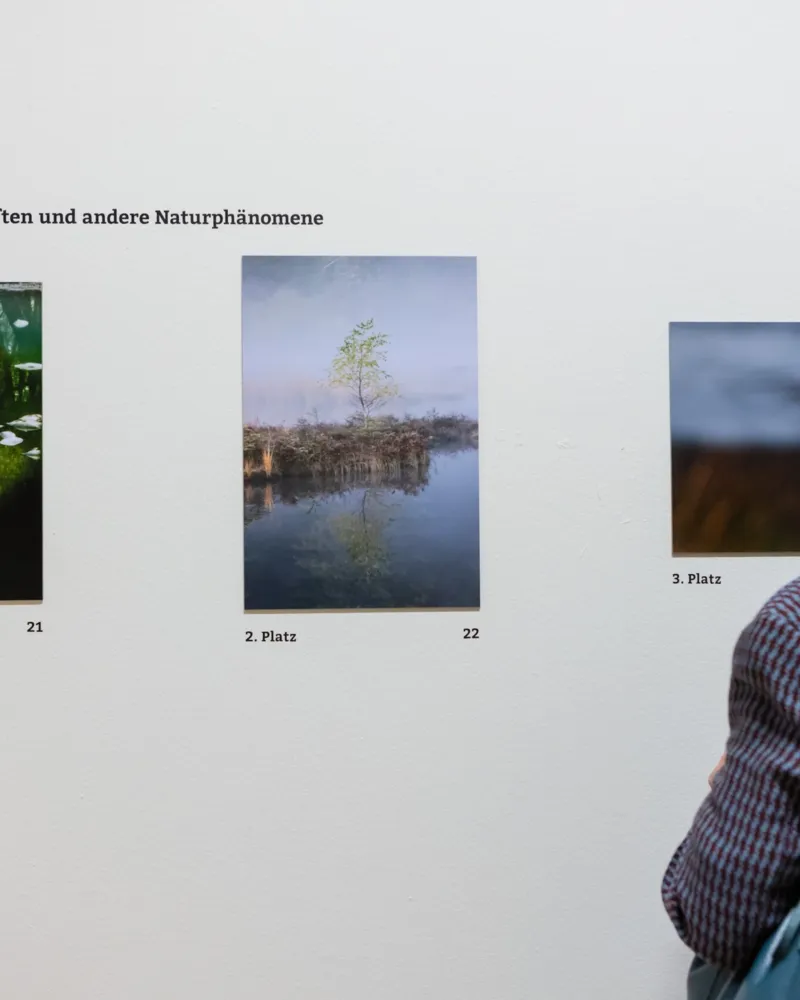 Fotowettbewerb Schnappschuss 2025