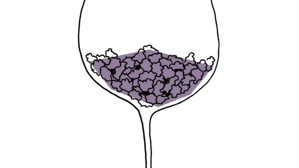 Liquid Tasting Portwein