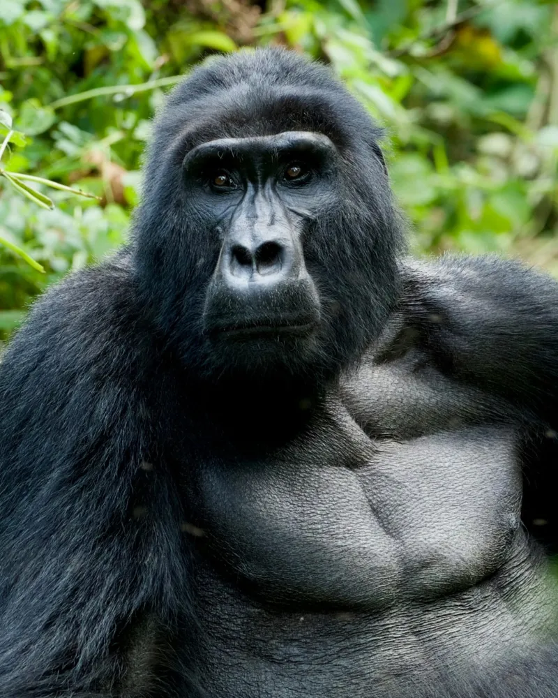 Rendez-vous mit der Welt: Uganda & Neuseeland