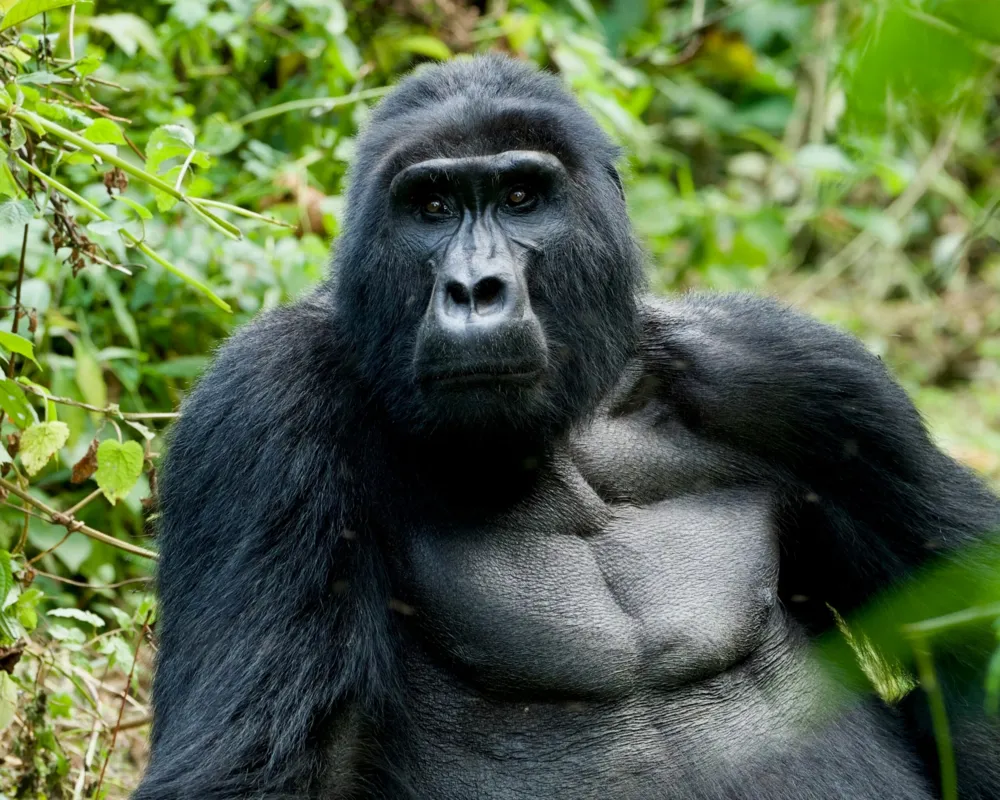 Rendez-vous mit der Welt: Uganda & Neuseeland
