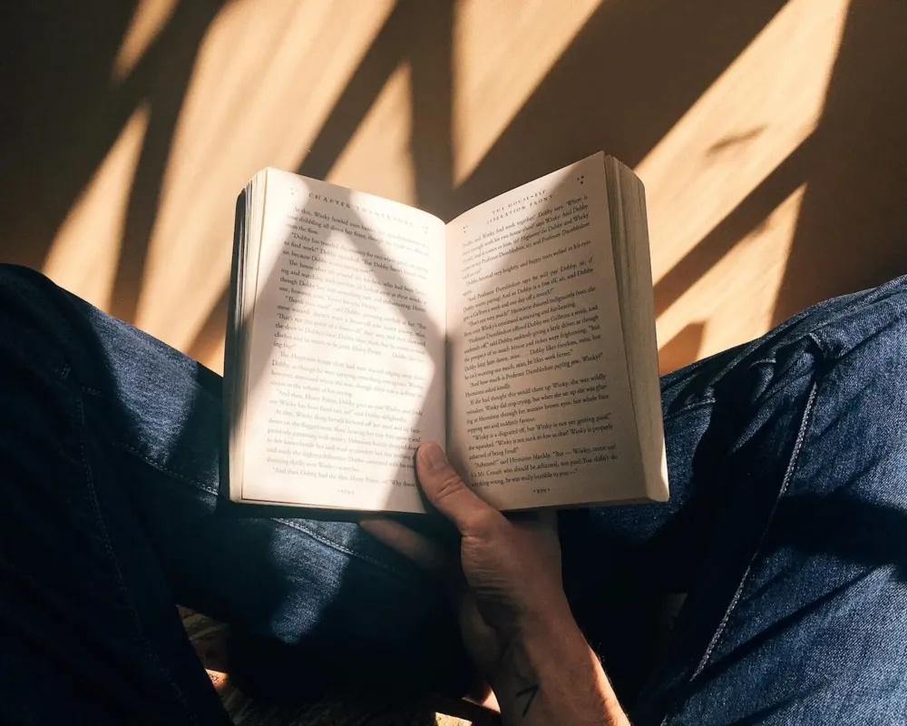 Eine Herbstlese für Basler Bücherwürmer