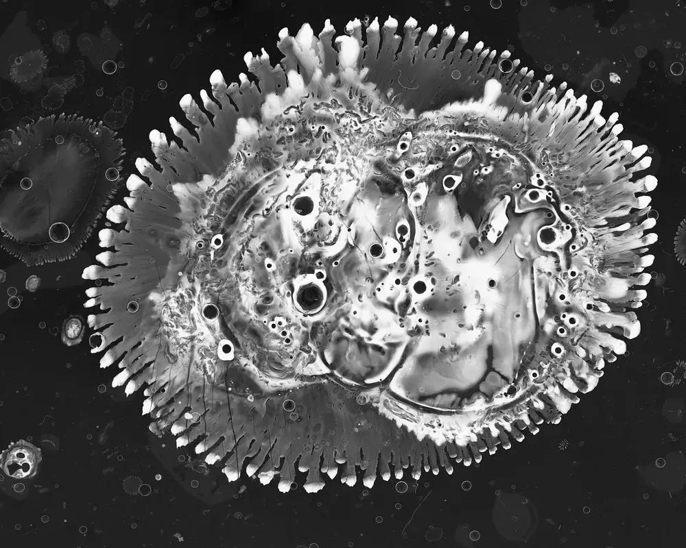 MIKROTOPIA - FRANZISKA BAUMGARTNER