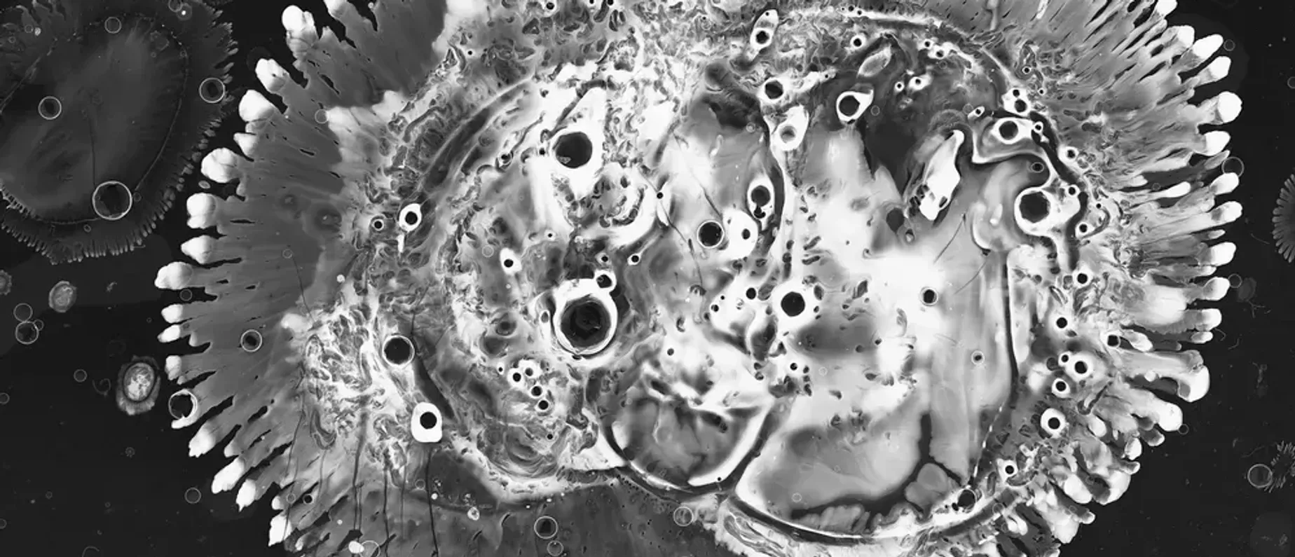 MIKROTOPIA - FRANZISKA BAUMGARTNER