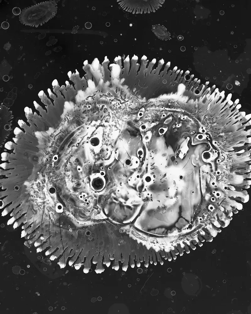 MIKROTOPIA - FRANZISKA BAUMGARTNER