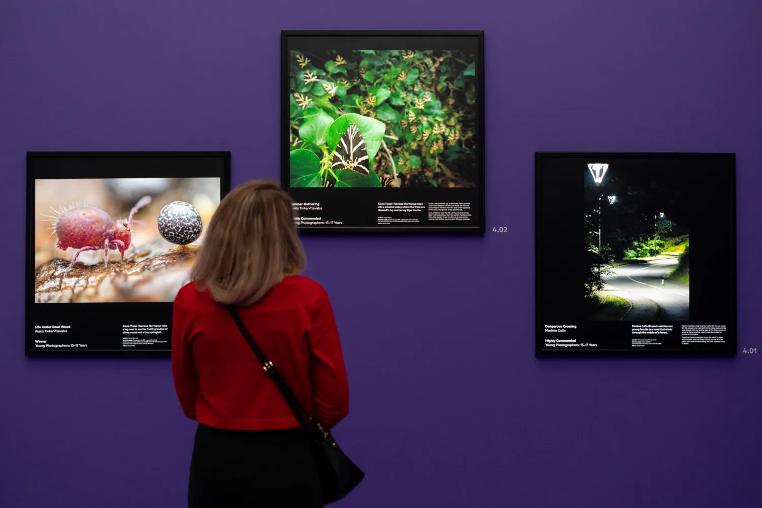 Was für eine Geschichte steckt hinter der Fotografie? Wie ist es überhaupt zu dem Bild gekommen? Auf einer interaktiven Führung werden ausgewählte Naturfotografien gemeinsam näher betrachtet.