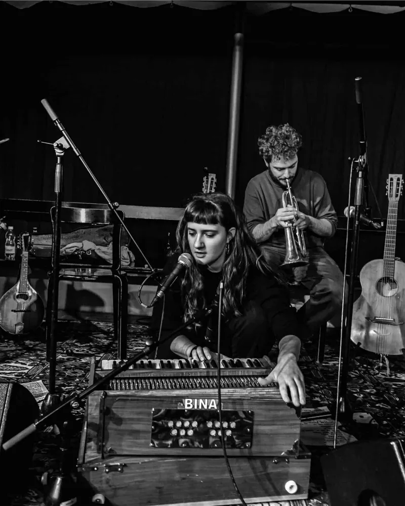 Folk und Country Blues vom fischigen Quartett