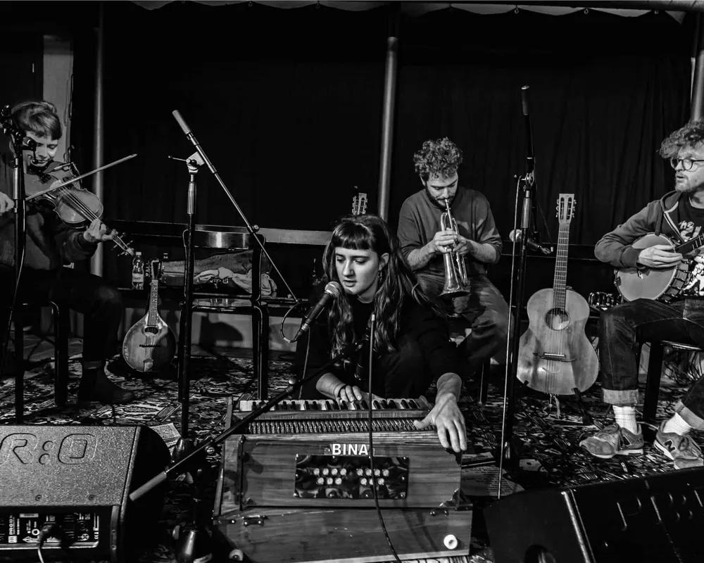 Folk und Country Blues vom fischigen Quartett