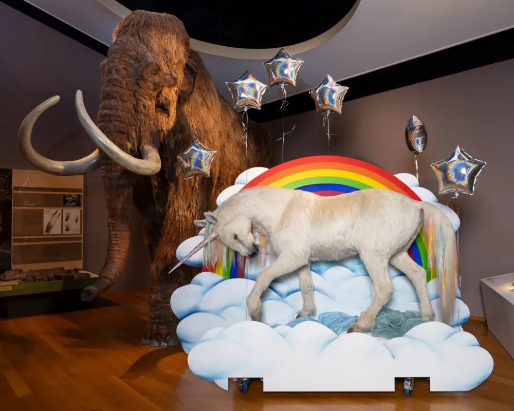 Glitzer & Glamour mit Einhorn und Teledisko