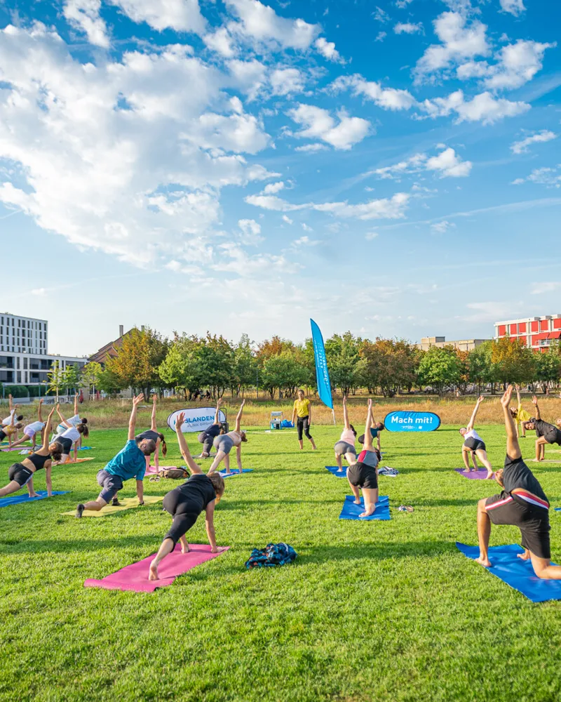 Gsünder Basel - Aktiv! im Sommer