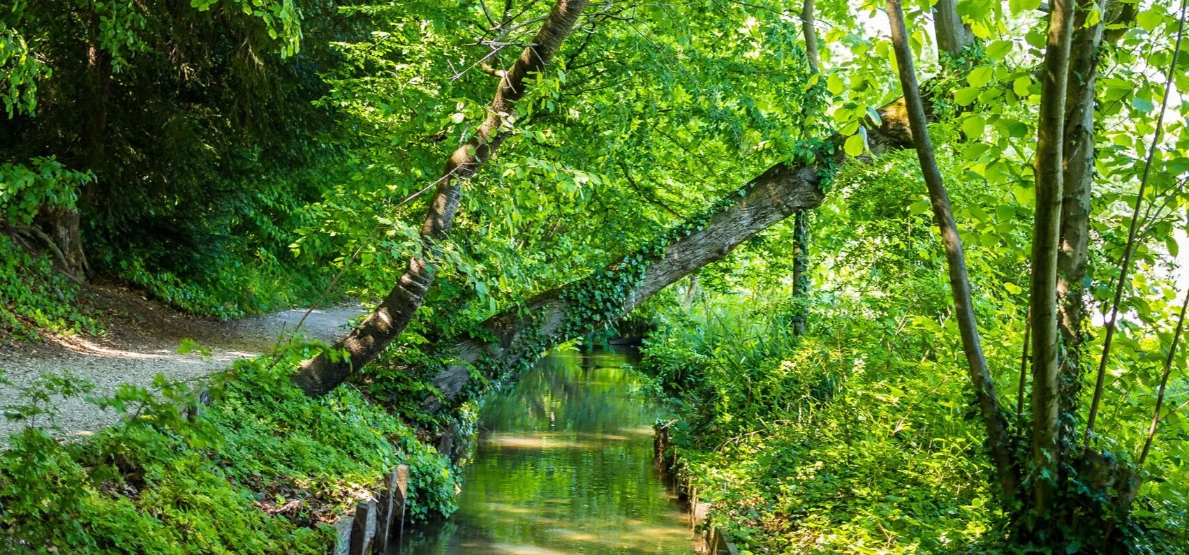 Im schönsten Garten der Stadt | BaselLive