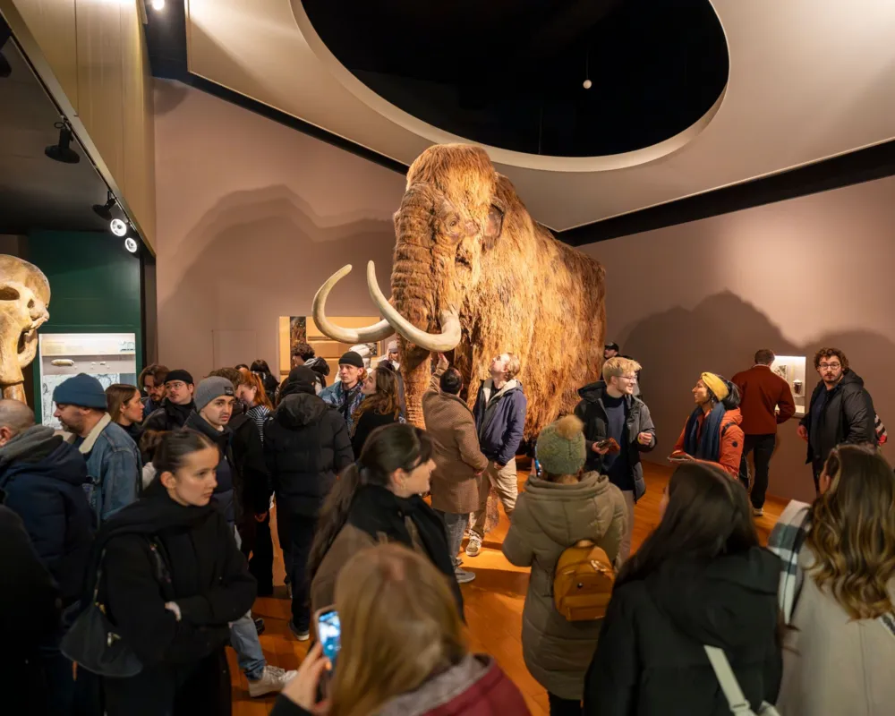 Von altbekannten Museen und neuen Stoffen