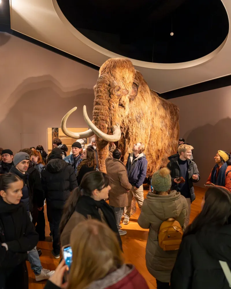 Von altbekannten Museen und neuen Stoffen