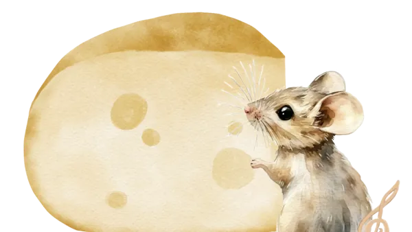 The Taste of Sound: Käse