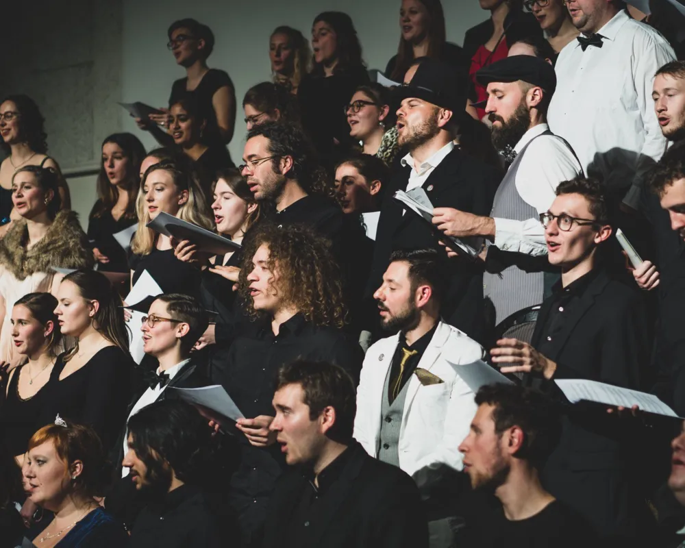 Sympathische Singvögel