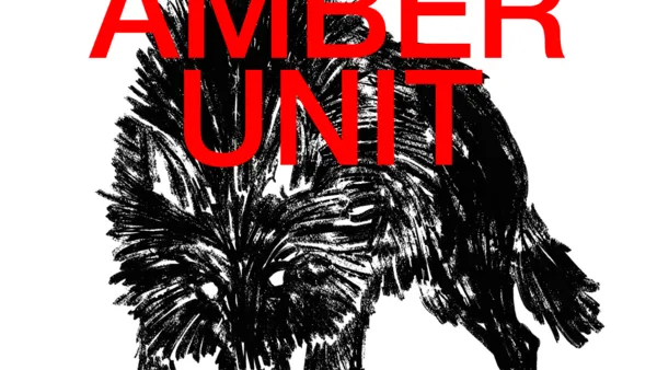 THE AMBER UNIT - PLATTENTAUFE