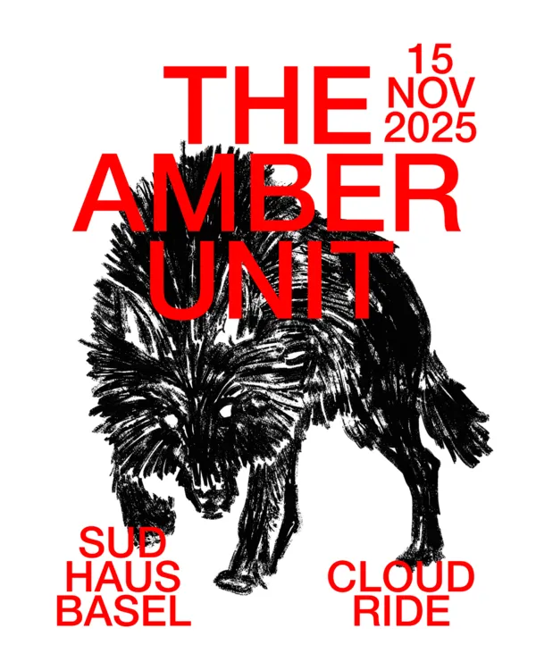 THE AMBER UNIT - PLATTENTAUFE