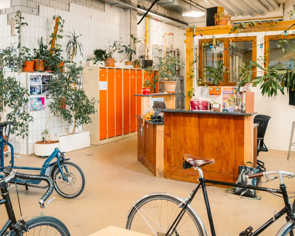 Fünf Freunde im Makerspace 