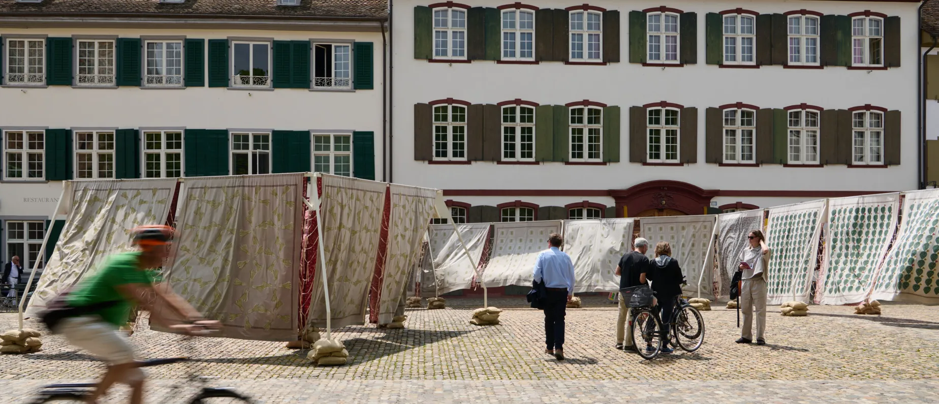 ABB25, Parcours, Public Interactions, Himali Singh Soin, David Soin Tappeser, Hylozoic Desires, MC, PR