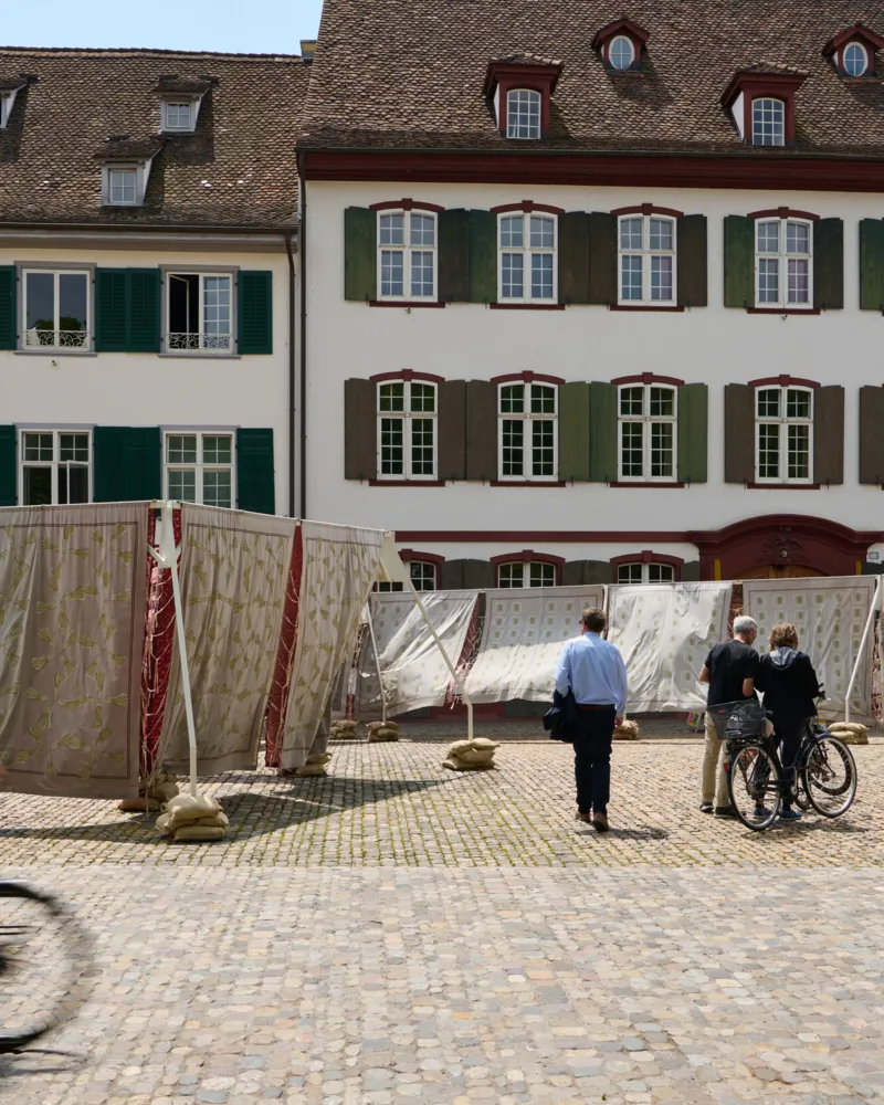 ABB25, Parcours, Public Interactions, Himali Singh Soin, David Soin Tappeser, Hylozoic Desires, MC, PR