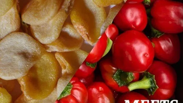 Schweizerische Samenbörse meets Chilifarm