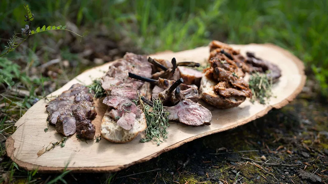 Aus dem Wald – auf den Tisch
