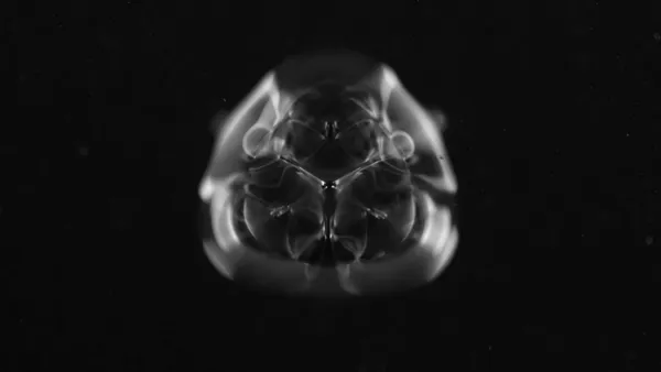 Vernissage Ausstellung: MIKROTOPIA – Franziska Baumgartner