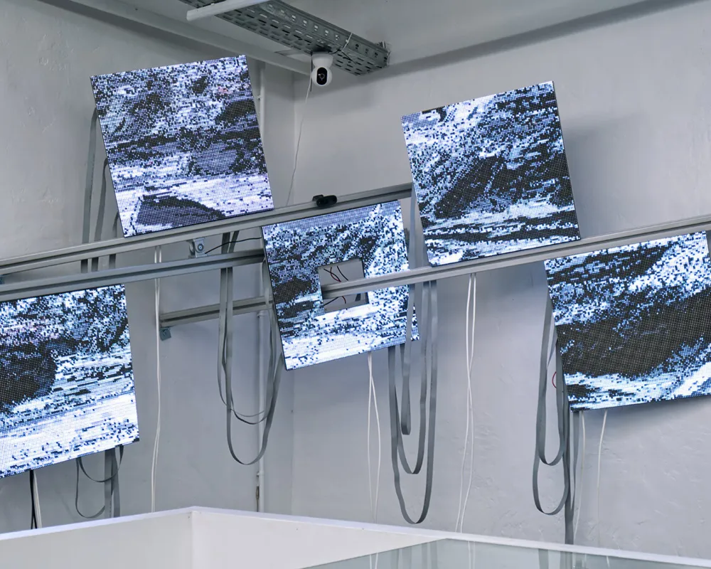 Ausstellungstipps des Monats