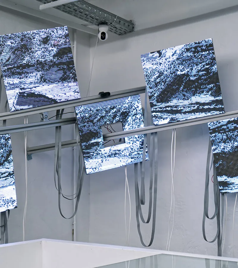 Ausstellungstipps des Monats