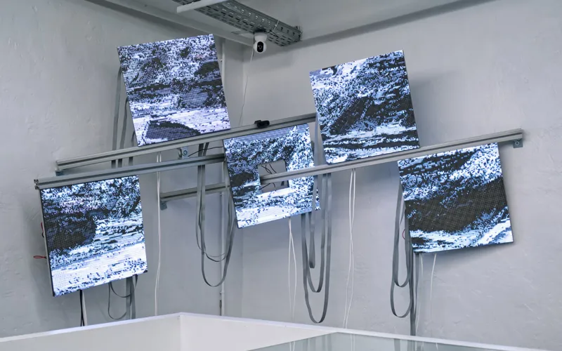 Ausstellungstipps des Monats