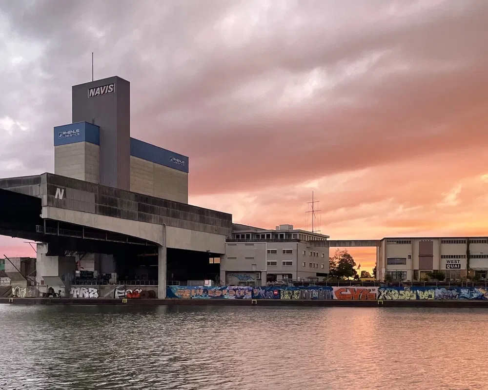 BaselLive Newsletter Edition 338