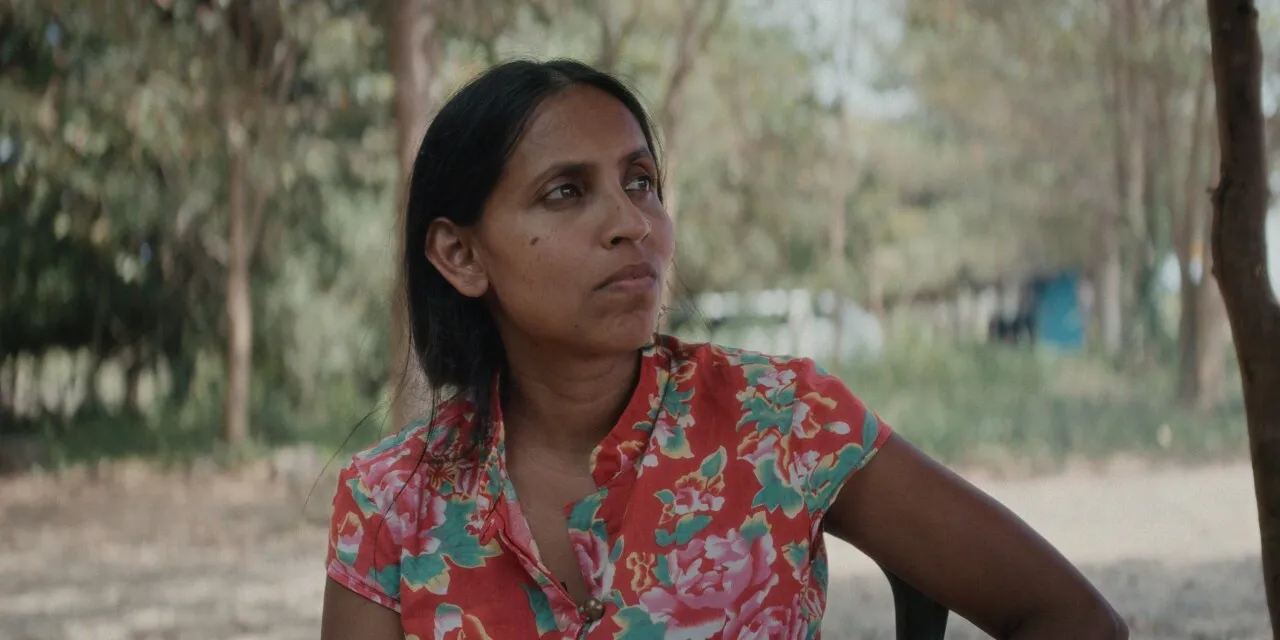 Elephants & Squirrels